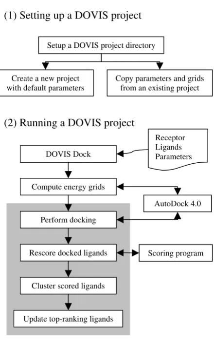 Figure 1Workflow of DOVIS 2.0Workflow of DOVIS 2.0. DOVIS is run through a sequen-tial two-step process: (1) setting up a DOVIS project direc-tory and (2) executing a DOVIS docking run
