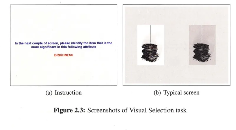 Figure 2.3:  Screenshots of Visual Selection task 