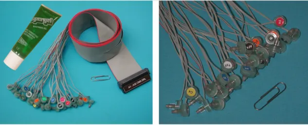 Figure 2.3: Active electrodes and gel used in this study. Taken from [3]
