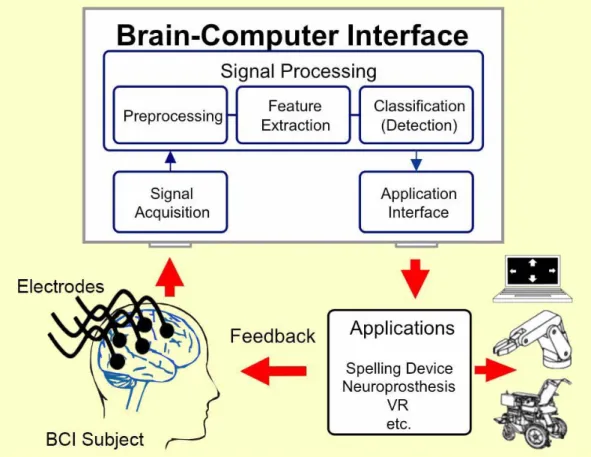 Figure 2.5: A typical BCI system model. Taken from [4].
