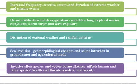 FIGURE 3-2: A SUMMARY OF CLIMATE CHANGE IMPACTS ON SIDS 