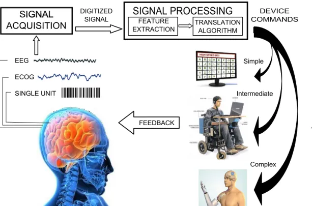 Figure 1.1 : Basic design and operation of a BCI system.