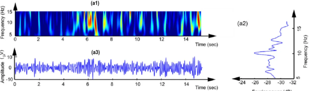 Figure 2.1 : SSVEP signal while looking at a target vibrating at 10 Hz. a1: time, a2: