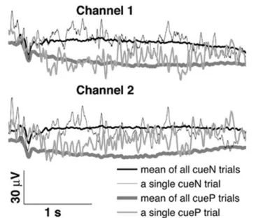 Figure 2.3 : Slow cortical potentials observed in an experiment including two types of tasks (cueN and cueP) (From: Mensh et.al