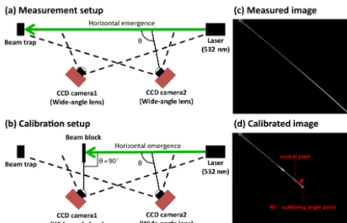 Figure 1. Sketch map of the geometric relationship and the sam-pling image of CCD-LADS.