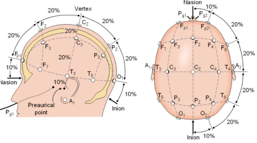 Figure 2.1: An example of 10-20 setting of EEG electrodes placement [30].