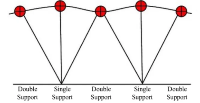 Figure 2.1. Inverted Pendulum Principle. The IP principle states that the stance leg acts like a pendulum, describing an arc