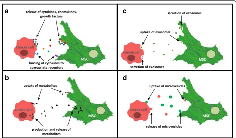 Fig. 1 Indirect interactions between mesenchymal stroma/stem cells and cancer cells. a Cytokines, chemokines, growth factors: MSC secrete aplethora of soluble factors that can bind as substrates to appropriate receptors on the cell surface of cancer cells 