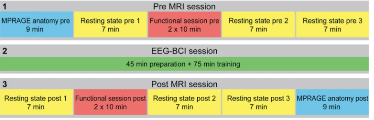 Figure 1. Experimental procedure and scanning order