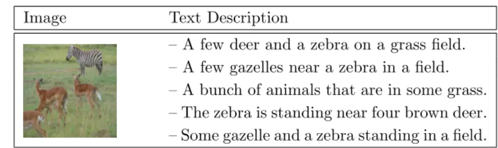 Figure 3.3: A random example taken from MSCOCO dataset. The dataset consists of samples made of an image and 5 representative text descriptions.