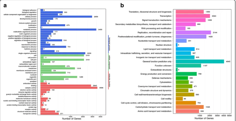 Fig. 4 Validation of expression levels of selected genes
