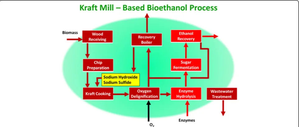 Figure 4 New process steps required to be added to kraft pulpor newsprint mills to achieve Biorefinery application.