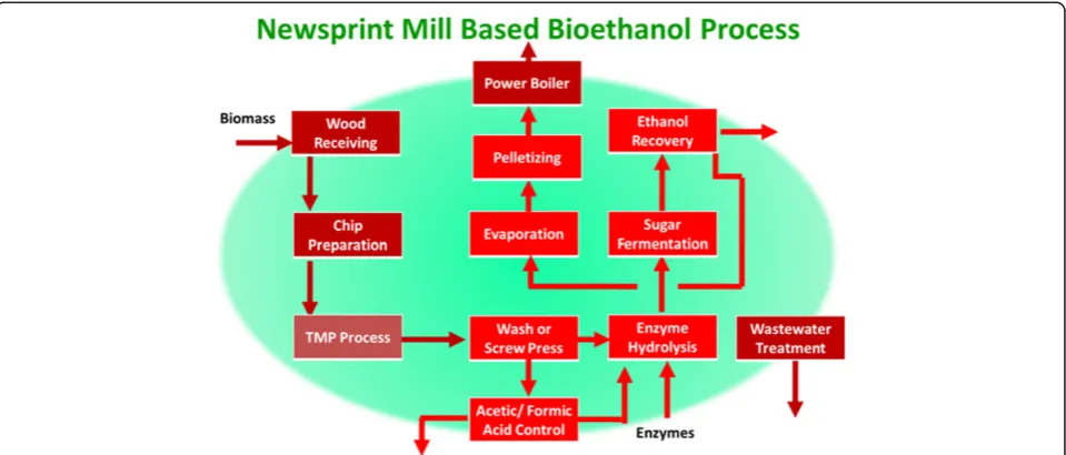 Figure 6 Newsprint Mill – based Biorefinery. Brown units are typically available in newsprint mills, or must be built in a Greenfield application.