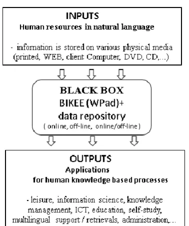 Fig.  3. Scheme of functioning of the in-house software as a black box [5] (owned by the authors) 