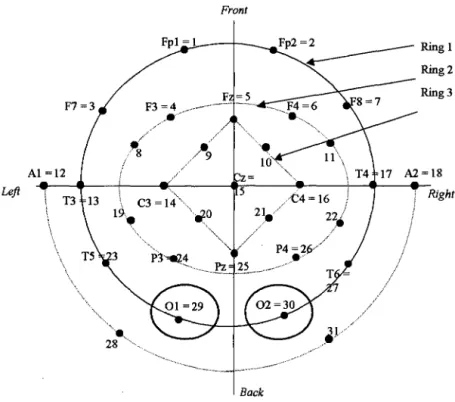 Figure 1.20: Positions of electrodes. Each black spot represents  an electrode. The black label gives  the electrode  code in the 10-20 system, the red number is  the electrode reference number used in this work