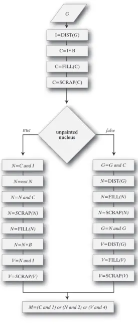 Figure  9.  Binary  hierarchical  image  of  nerve  cells  with  the  second type (third class) of affection