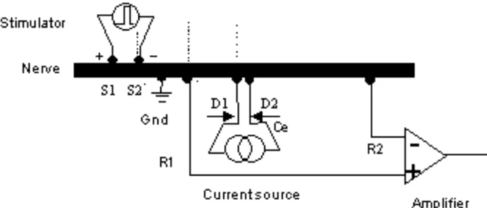 Figure 1-9: Arrangement for recording impedance on the crab nerve 