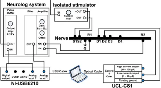 Fig. 3 Left Instrumentation for crab nerve recordings. Right Instrumentation for recordings on rat cerebral cortex