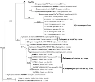 Fig. 4. (Continued).