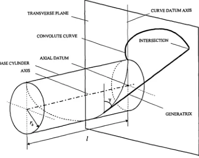 Figure 2.1 : The intersection of the generatrix in the transverse plane at a singlepoint on the base cylinder helix, and the convolute curve development.