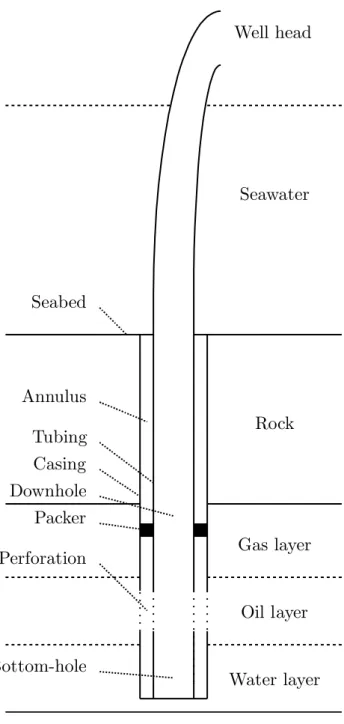 Figure 1.2: A well extracts fluids from a reservoir through tubing to the  surface. 