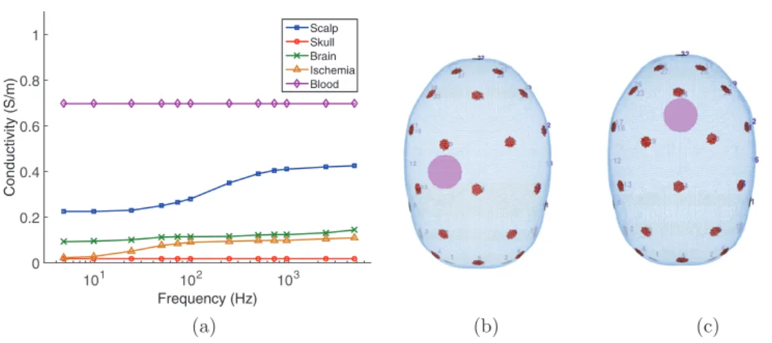Figure 1.   Model: (a) conductivity spectra of the simulated tissues, (b) simulated lateral  and (c) posterior stroke position