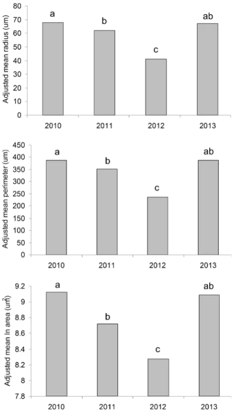 Fig. 4 Comparison of adjusted mean size (radius, perimeter and area)of sagittal otoliths from larval Sindoscopus australis collected at ElQuisco Bay, central Chile, during 2010–2013