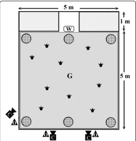Fig. 1 Bird’s-eye view of the aviary and observation room set-up(C: video cameras, G: background area, O: observers, W: dishcontaining water for sparrows, which also indicates the directionof west,: the parterres,: the potted plants,: small pottedplants, of which two or all, depending on the experimentaldesign, sat beside food patches covered by sand)