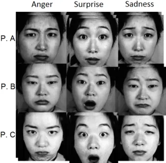 Figure 1.1.: Samples of a multi-aspect dataset, in which each instance (facial image) is characterised by the identity of the person (P.A, P.B, and P.C), and the emotion being expressed (Anger, Surprise, and Sadness)