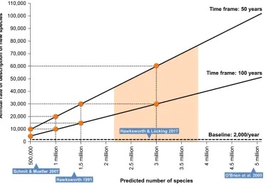 Fig. 2. Necessary increase in the rate of newly described fungal species per year to reach a certain predicted number within reasonable time frames of 50 and 100 years, respectively.