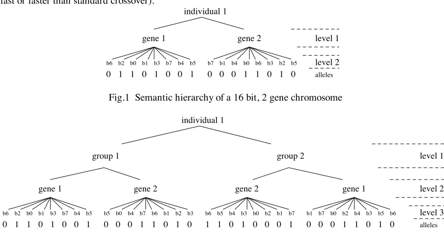 Fig.1  Semantic hierarchy of a 16 bit, 2 gene chromosome