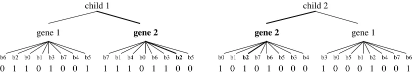 Fig. 4  Partially formed children, halfway through hierarchical crossover.
