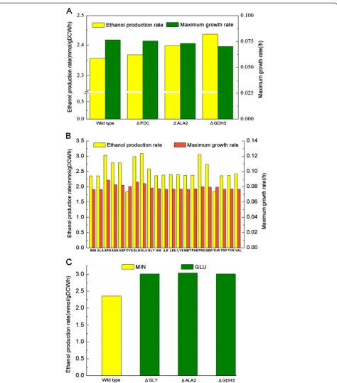 Figure 7 Predicted ethanol production rates under different conditions. A) Ethanol production rate and maximum growth rate for the wildtype cell and three in silico mutant strains (deletion of GLY1 and GLY2, ALA2, GDH3 respectively) on minimal medium