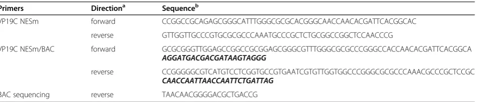 Figure 1 Generation of VP19C NES mutants by mutagenesis. (A) Schematic representation of the HSV-1 genome containing terminal long(TRL) and short (TRS) and internal long (IRL) and short (IRS) repeats flanking the unique long (UL) and short (US) regions