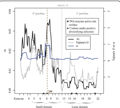 Fig. 2 Sliding window analyses of nucleotide diversity (5πT), Tajima’s Dand ω. The ticks on the x axis represent the boundary of each analysedPgiC1 exon within the PgiC1 coding sequence