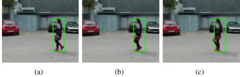 Figure 17 shows three consecutive RGB frames fromFreiburg university, the Chinese Monkey dataset