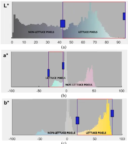 Fig. 4. Image processing techniques used in this research 