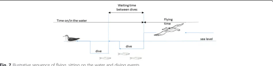 Fig. 7 Illustrative sequence of flying, sitting on the water and diving events