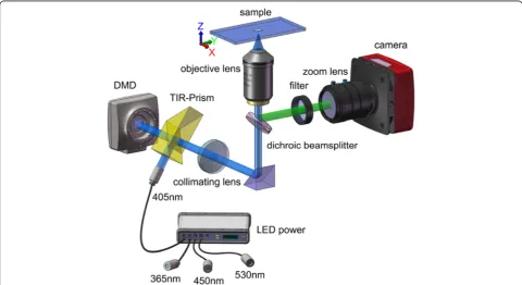 Fig. 1 Schematic diagram of the DMD-based LED-illumination SIM microscope. For more specific information regarding components see ‘Methods’