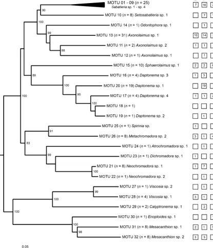 Fig. 1 Unrooted NJ-phylogram showing congruence of MOTU andmorphospecies assignment. The phylogram was created by aligningsingle representative sequences from each MOTU cluster expect forMOTU 1–9 (see Fig