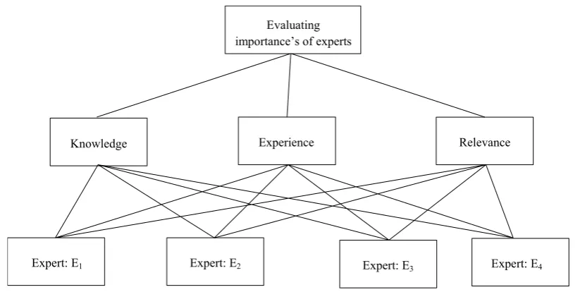Figure 2. Experts’ weights evaluation hierarchy