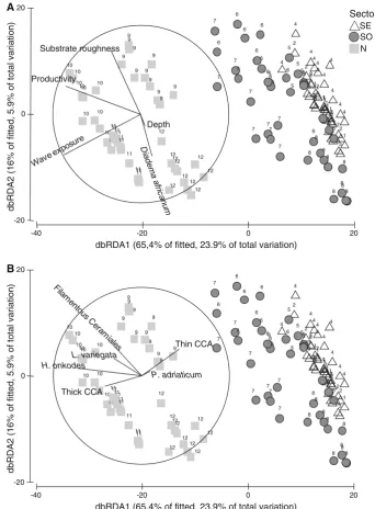 Fig. 4 Distance-basedredundancy analysis (dbRDA).a Relationships between theordination of samples based onspecies cover andenvironmental variables.b Direction of increasing coverof the most abundant algalspecies (cover [ 1 %)