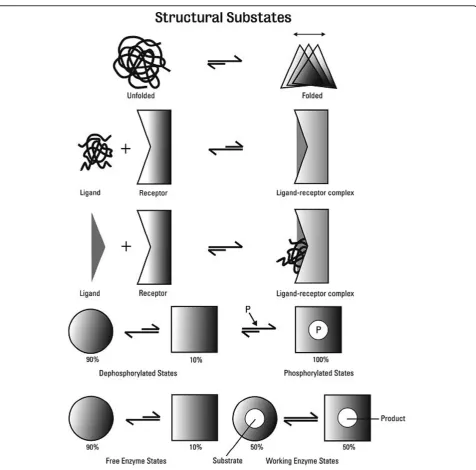 Figure 4 Examples of processes involving protein dynamics. From the top row: (1) Conformational changes between folded and unfoldedstates, (2) ligand receptor interactions, (3) a representation of the effects of covalent modification of a protein, (4) the 