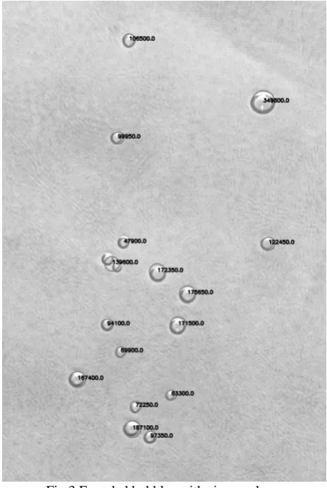 Fig.3 Founded bubbles with size mask 