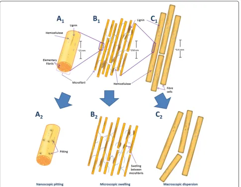 Table 1 Non-hydrolytic disruptive proteins and their effects on biomass