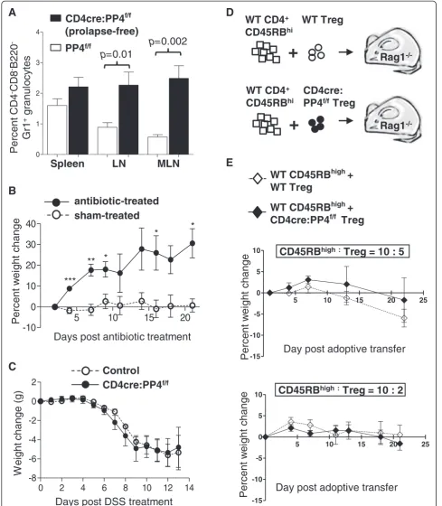 Figure 7 Analyses of factors that may contribute to the onset of colitis in the CD4cre:PP4f/f mice