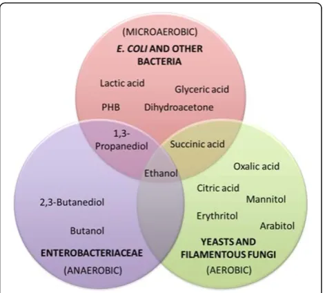 Figure 2 Examples of chemicals produced by microbialfermentation of crude glycerol. Circles/positions indicate theaerobiose conditions in which these chemicals can be produced bymicrobial fermentation and the main microbial producing groups.