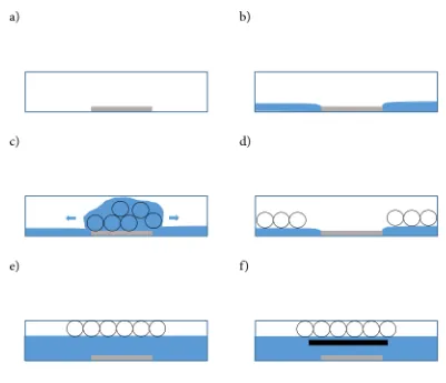 Figure 2  Visual illustration of deposition method 2: a) set glass slide flat in empty container, b) fill water 
