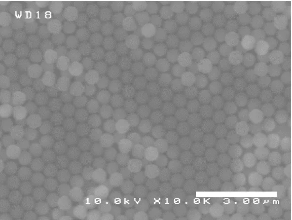 Figure 13  Monolayer with 320 nm diameter spheres 