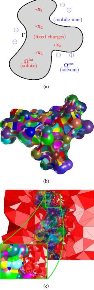 Figure 1. Motivation: (a) Ionic solution; (b) Connolly surface: composition of trimmed toroidal and spherical surfaces; (c) Tetrahedral mesh of the solvent